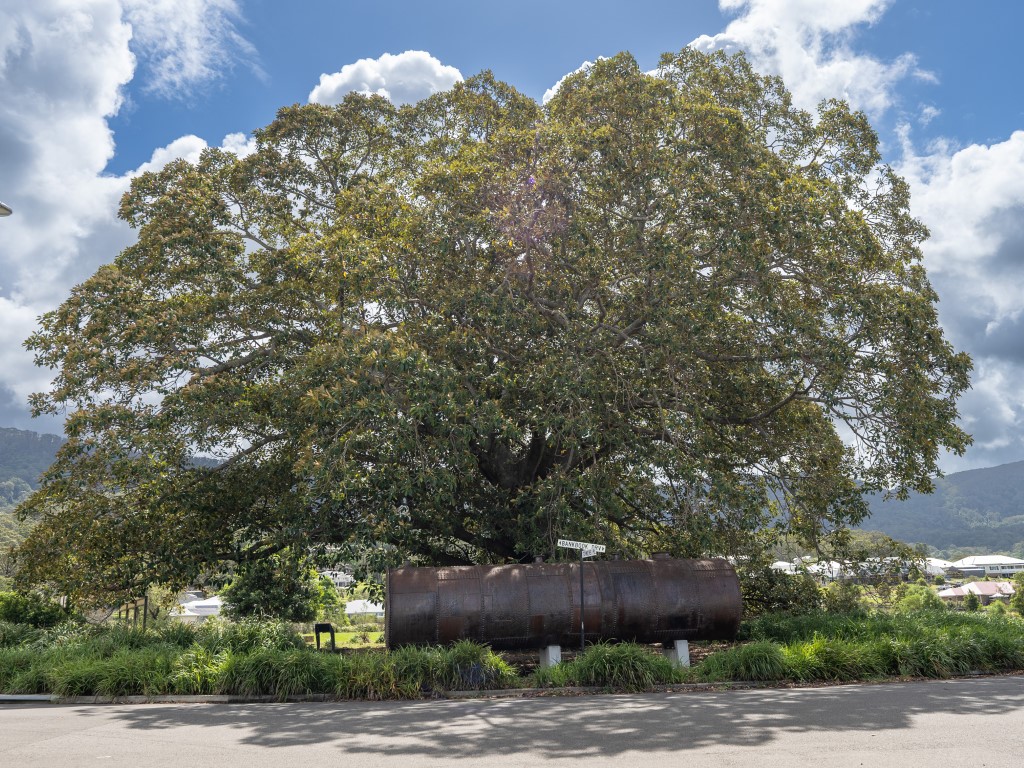 [Land for Sale] Vista Park Estate, Wongawilli OpenLot